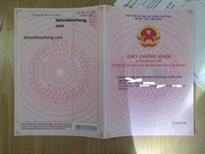 Dịch Vụ Làm Giấy To Giả ở TP HCM 